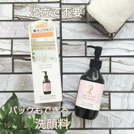 洗顔だけじゃない+パックもできる洗顔料/ONE STONE TWO BIRDS/その他洗顔料を使ったクチコミ(1枚目)