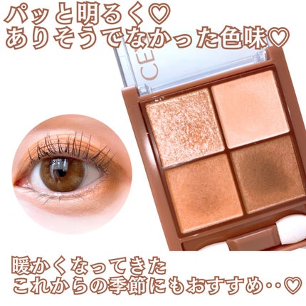 ビタートーンアイシャドウ/CEZANNE/パウダーアイシャドウを使ったクチコミ(6枚目)