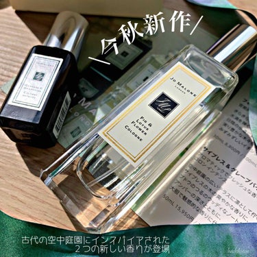 保存版】 ジョーマローン フィグ&ロータス コロン 100ml フラワー 香水