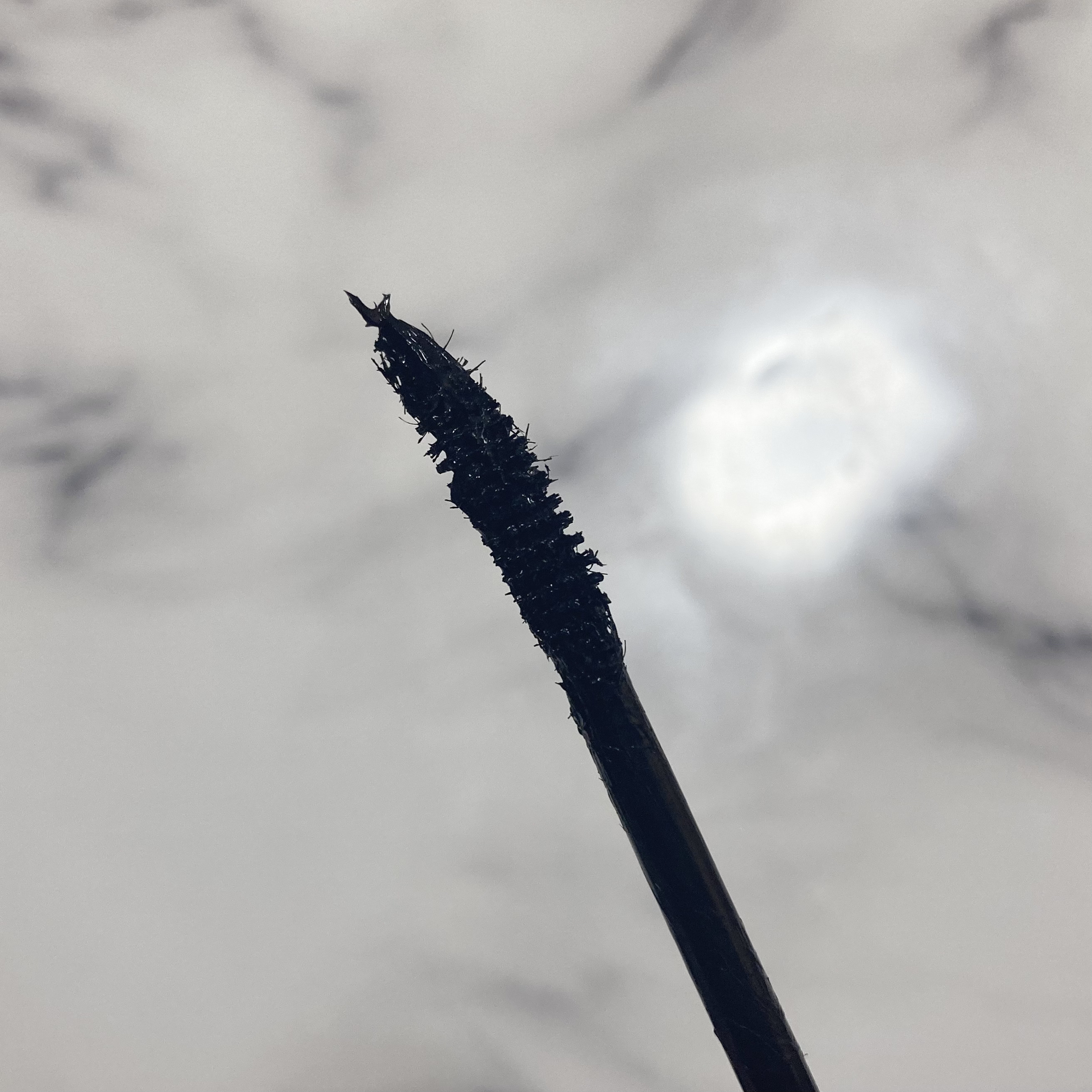 レングスニングマスカラ/FlowerKnows/マスカラを使ったクチコミ（2枚目）