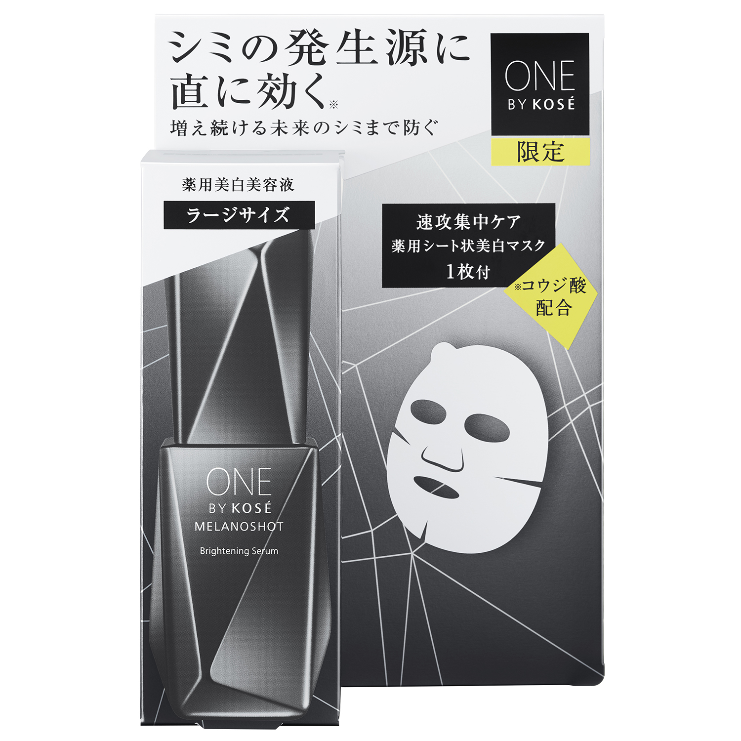 ラージサイズ 限定キット(65mL+マスク21mL×1枚入)