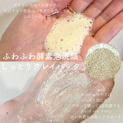 グリーン クレイ酵素クレンザー/SKIN SIGNAL/洗顔パウダーを使ったクチコミ(3枚目)