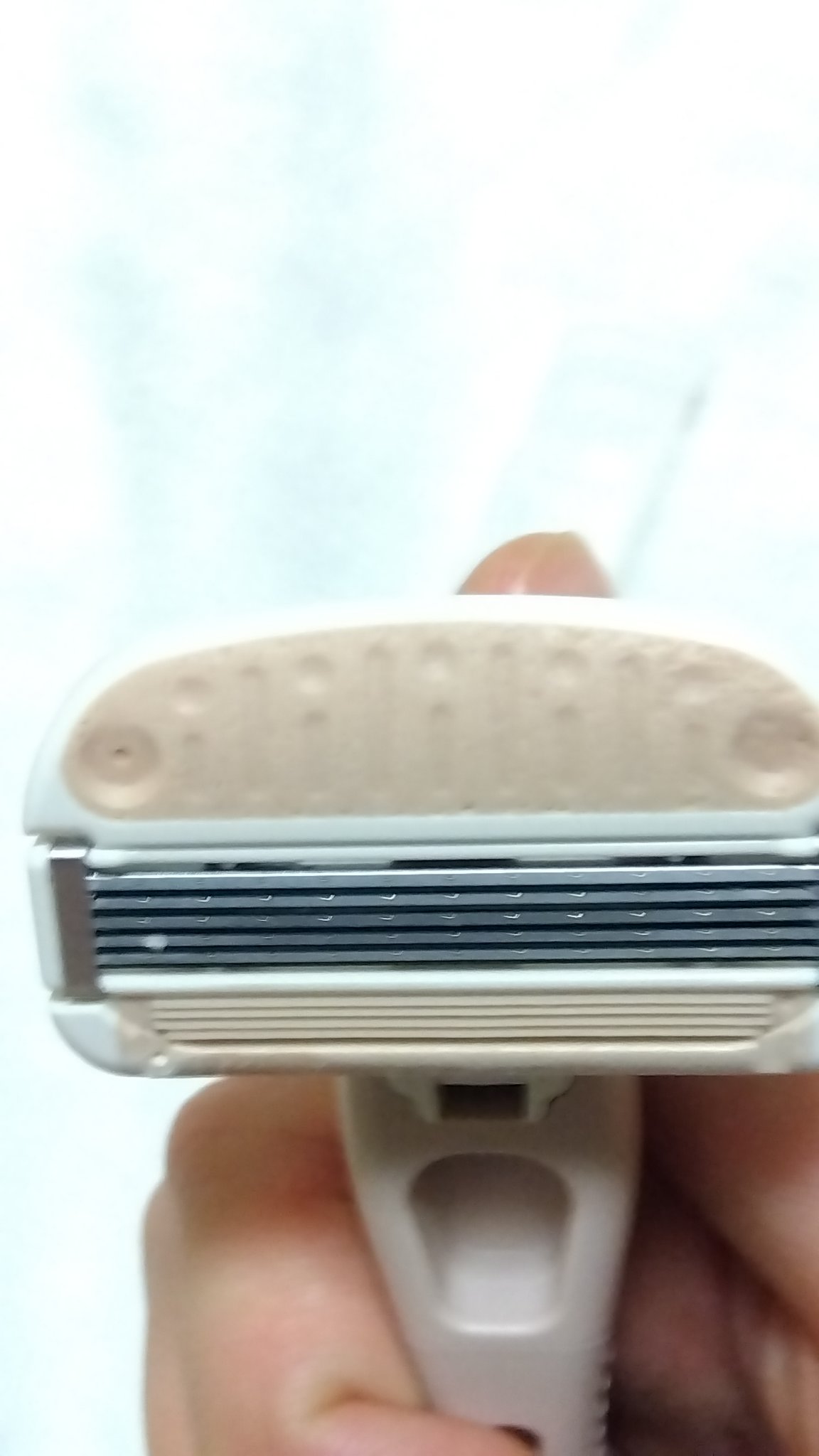 miness ボディ用カミソリ 替刃2個付/貝印/シェーバーを使ったクチコミ（2枚目）