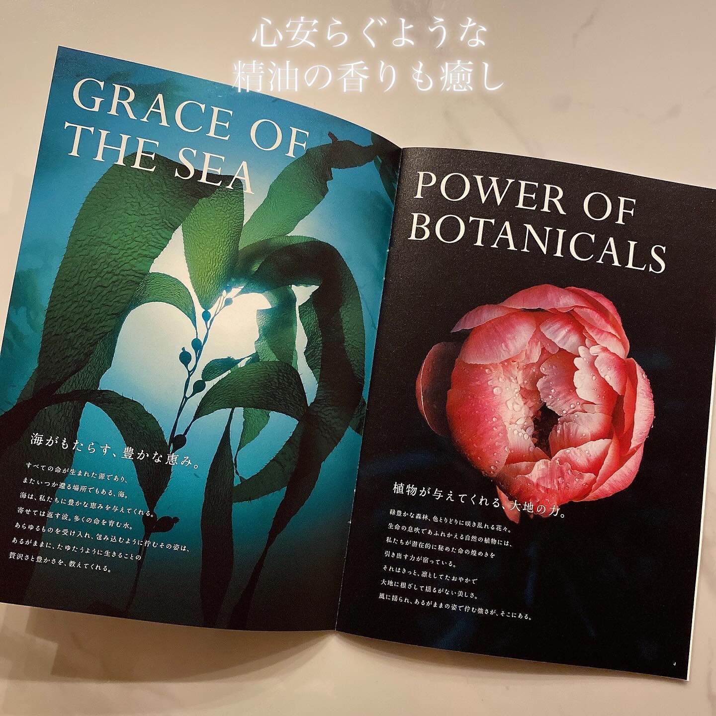 Lilou リル ラグジュアリーシャンプー/トリートメント/Lilou/市販シャンプーを使ったクチコミ（3枚目）