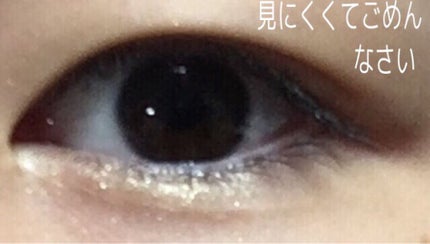MP2wayアイクレヨン/セリア/スティックアイシャドウを使ったクチコミ(5枚目)