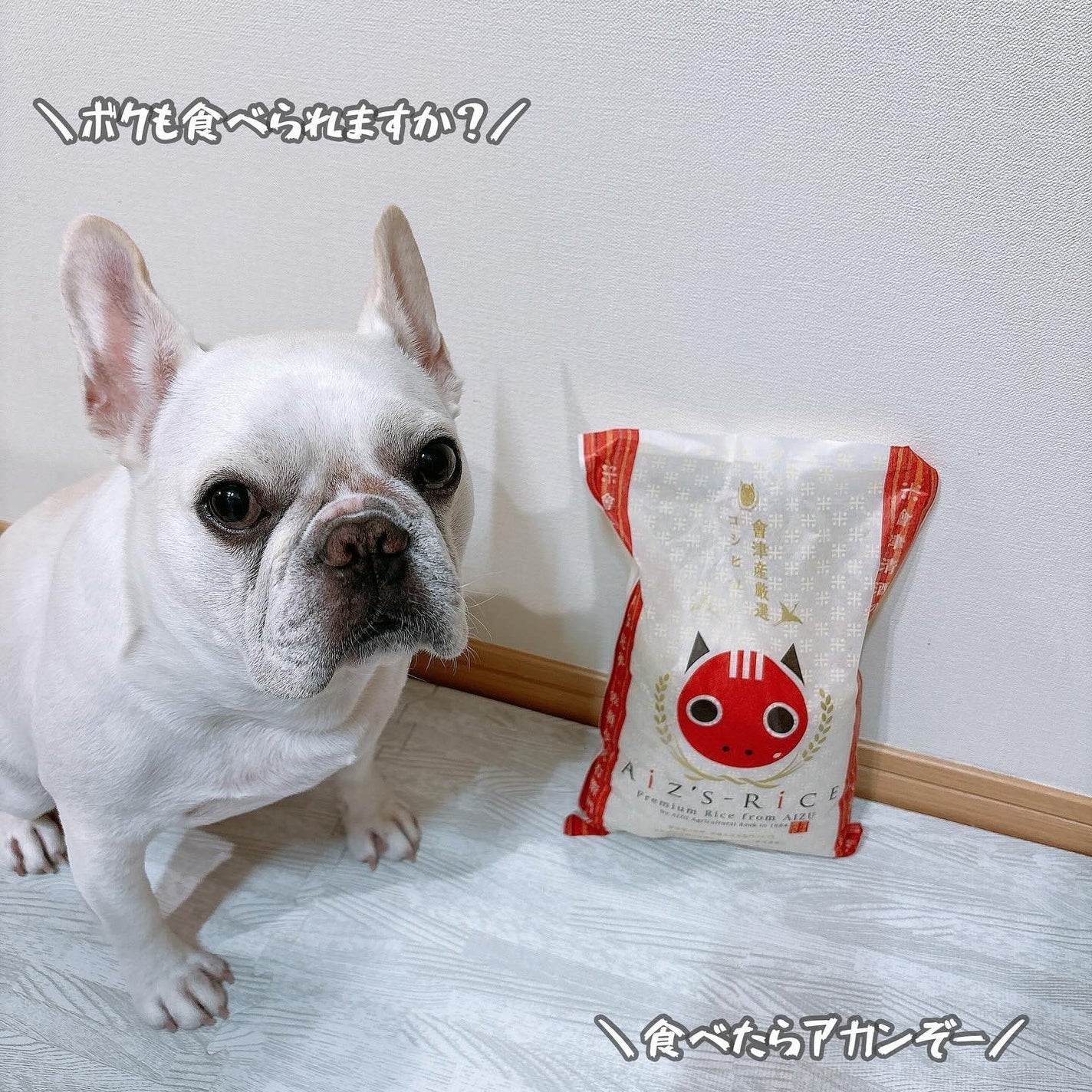 えび松(春br) on LIPS 「\お米の風味と甘みがしっかり!/美容の情報など発信中▶︎▶︎..」(5枚目)