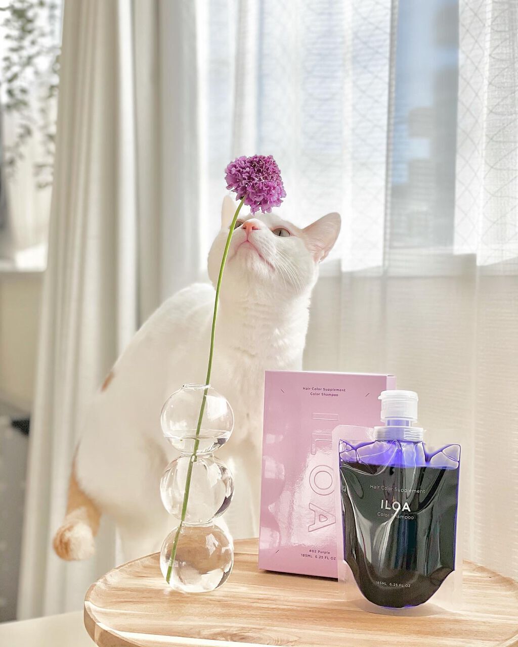 カラーシャンプー/ILOA/市販シャンプーを使ったクチコミ（3枚目）