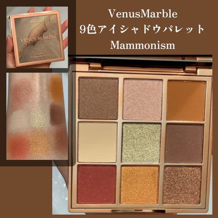 VenusMarble 9色アイシャドウパレット Mammonism(マンモニズム)/Venus Marble/アイシャドウパレットを使ったクチコミ(1枚目)