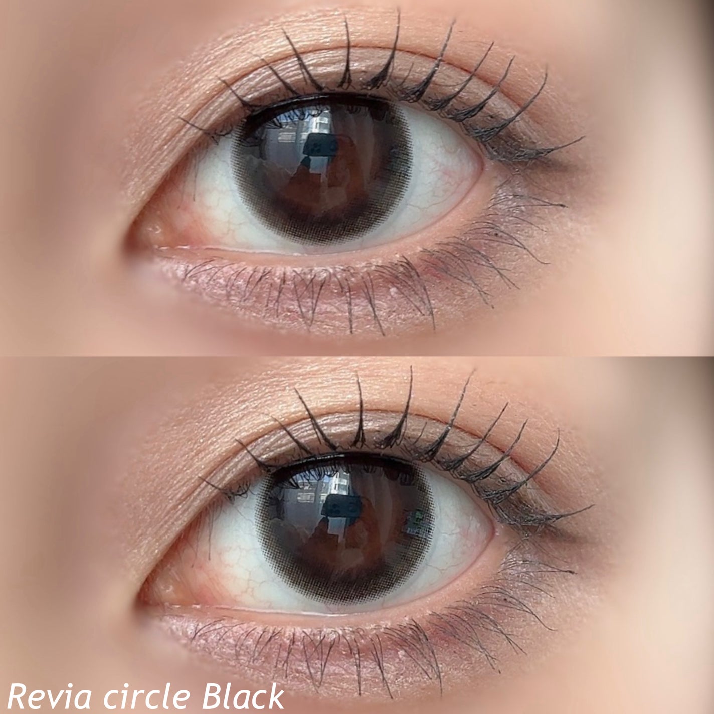 ReVIA CIRCLE 1day/ReVIA/ワンデー(1DAY)カラコンを使ったクチコミ(2枚目)