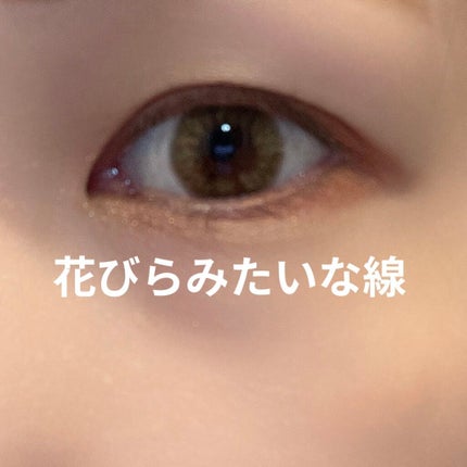 N’s COLLECTION 1day/N’s COLLECTION/ワンデー(1DAY)カラコンを使ったクチコミ(3枚目)