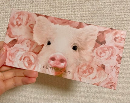 エクスプローラ12色 動物アイシャドウパレット/PERFECT DIARY/アイシャドウパレットを使ったクチコミ(1枚目)