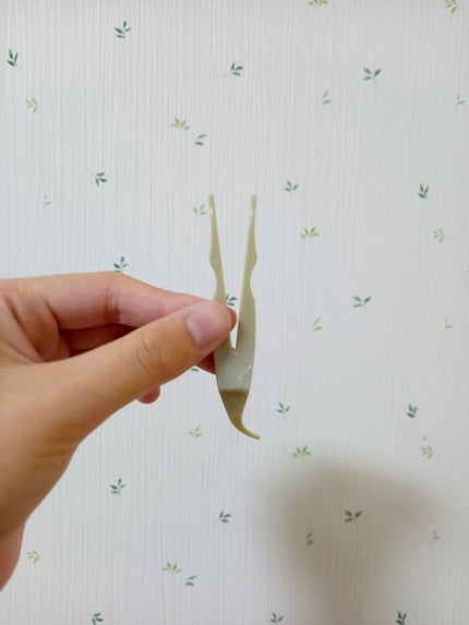 TWOOLããã«ã¢ã€ãªãããã€ããªãããã£ã«ã /SHOBIDO/äºéãŸã¶ãçšã¢ã€ãã ã䜿ã£ãã¯ãã³ãïŒ7æç®ïŒ