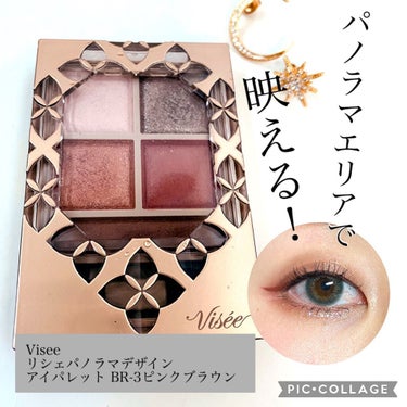 パノラマデザイン アイパレット/Visée/アイシャドウパレットを使ったクチコミ（1枚目）