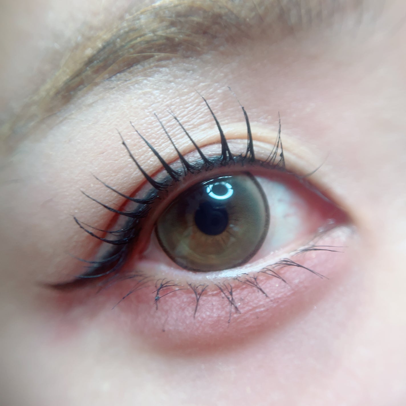 ã«ã³ã ðž on LIPS ãð€Qoo10ã§ã倧人æ°ð/ã«ã©ã³ã³româuðçºå£²ããã°ããã®..ãïŒ7æç®ïŒ