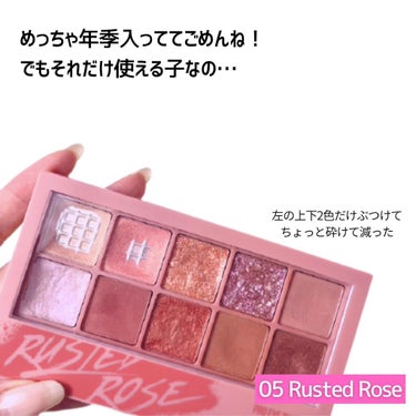 プロ アイ パレット 05 RUSTED ROSE/CLIO/パウダーアイシャドウを使ったクチコミ（3枚目）