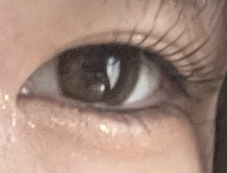 SH つけまつげ3D/セリア/つけまつげを使ったクチコミ（2枚目）