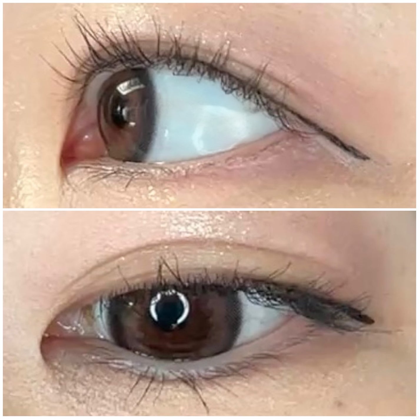 Mechu Mechu/Mechu Mechu /ワンデー(1DAY)カラコンを使ったクチコミ(3枚目)