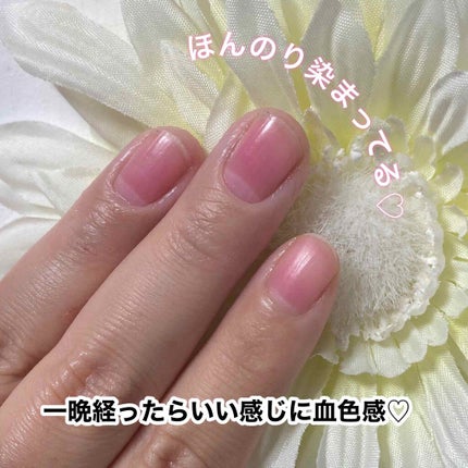 イノーチェ ネイルティント/ナリスアップ/ネイルオイル・トリートメントを使ったクチコミ(6枚目)