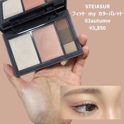 フィット my カラーパレット 03 autumn/STEIASUR(ステイアシュール)/マルチパレットを使ったクチコミ(2枚目)