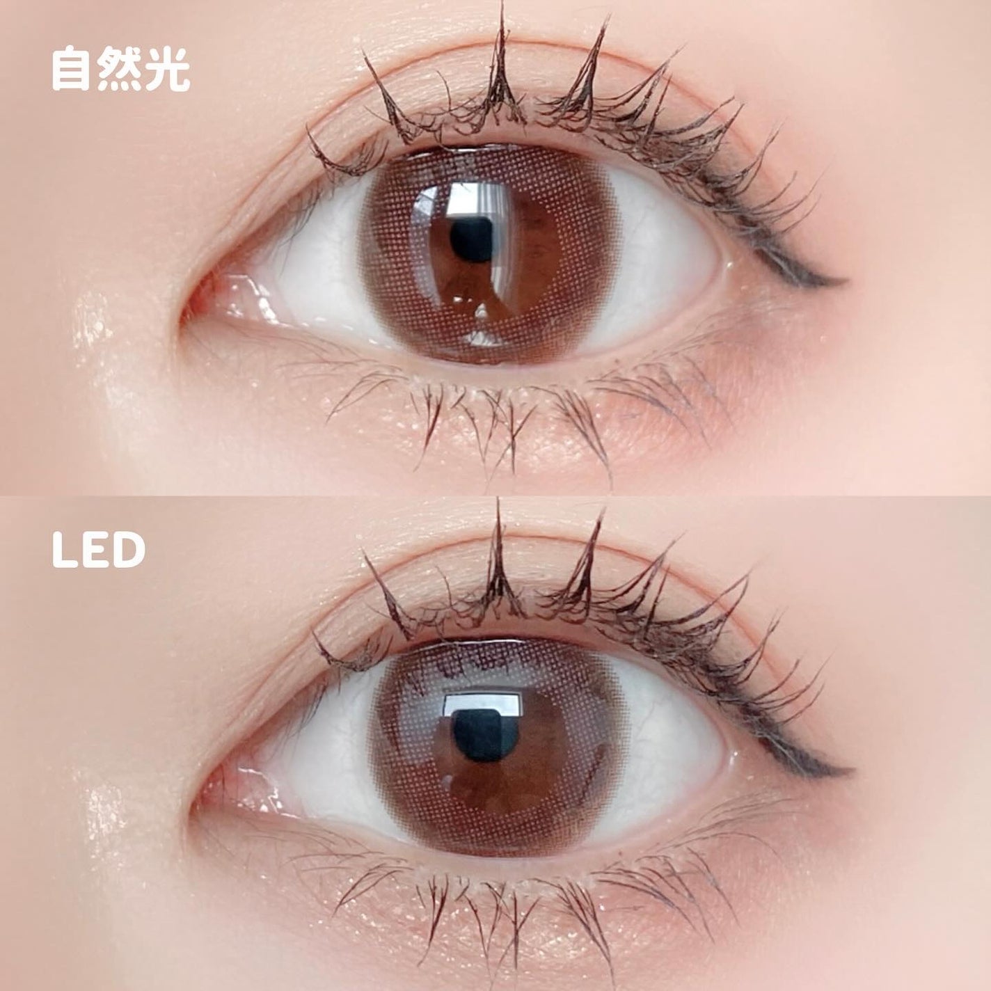 エバーカラーワンデー ナチュラル/エバーカラー/ワンデー(1DAY)カラコンを使ったクチコミ(3枚目)