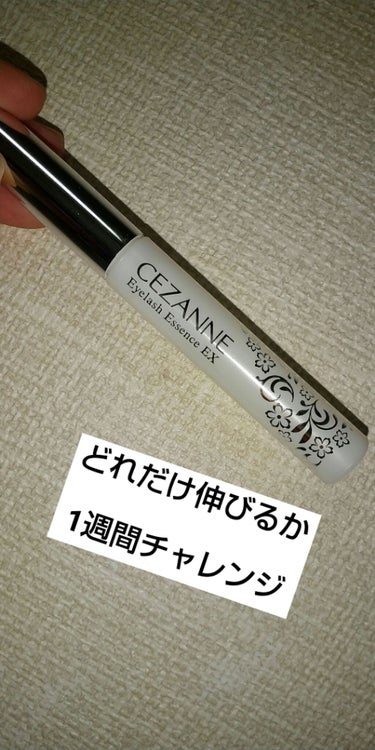 まつげ美容液EX/CEZANNE/まつげ美容液を使ったクチコミ（1枚目）