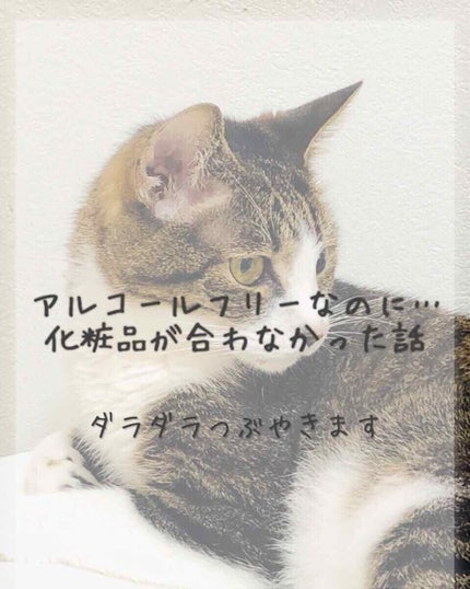 菊正宗 日本酒の化粧水 高保湿/菊正宗/化粧水を使ったクチコミ(1枚目)