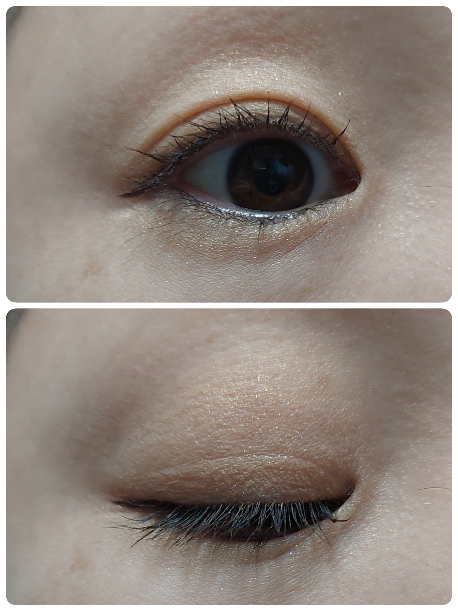 シルキーアイシャドウ/U R GLAM/アイシャドウパレットを使ったクチコミ（3枚目）