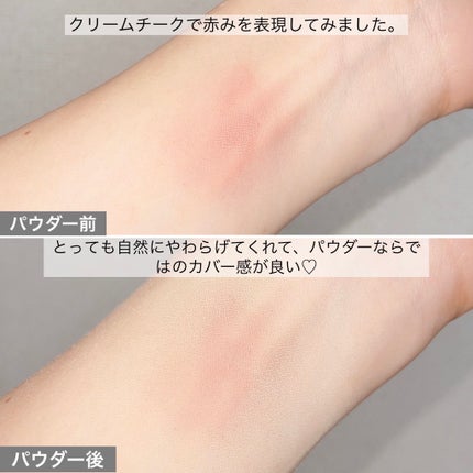 トランスルーセントセットフィニッシングパウダー/TFIT/ルースパウダーを使ったクチコミ(8枚目)