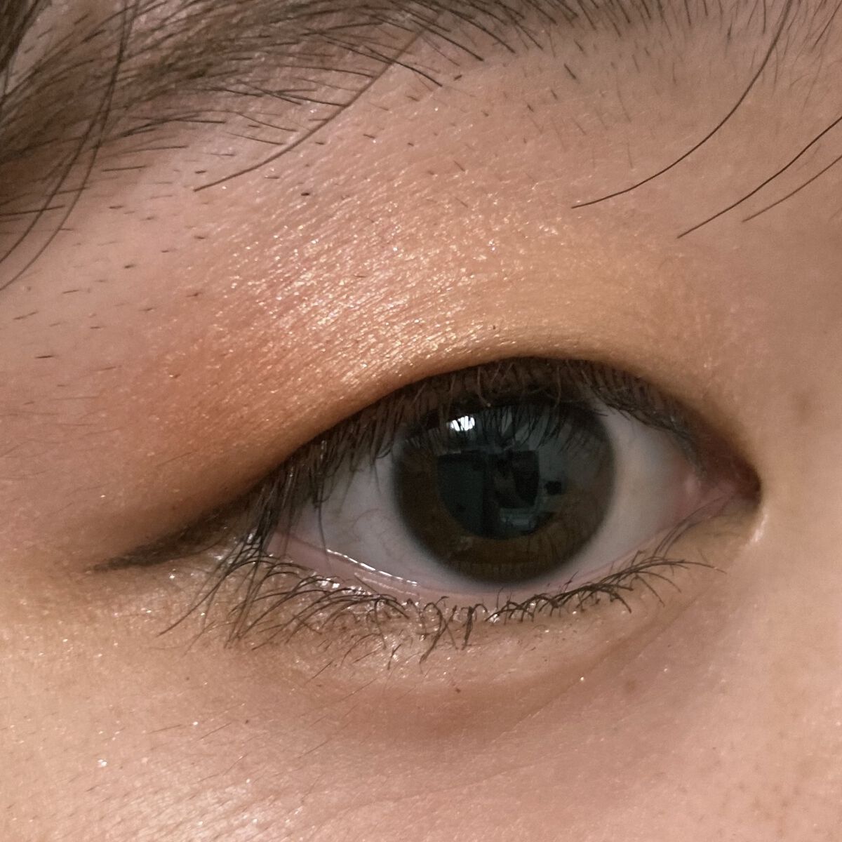 ディオール バックステージ アイ パレット/Dior/アイシャドウパレットを使ったクチコミ（1枚目）