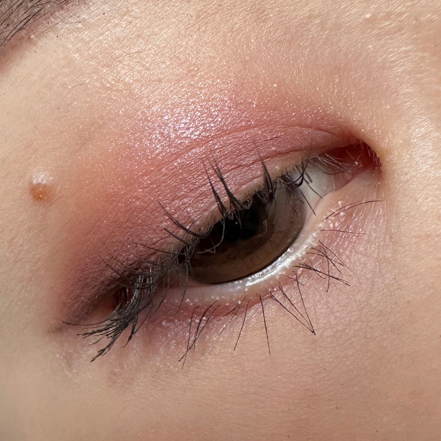 バイカラーアイズ/Enamor/アイシャドウパレットを使ったクチコミ(3枚目)