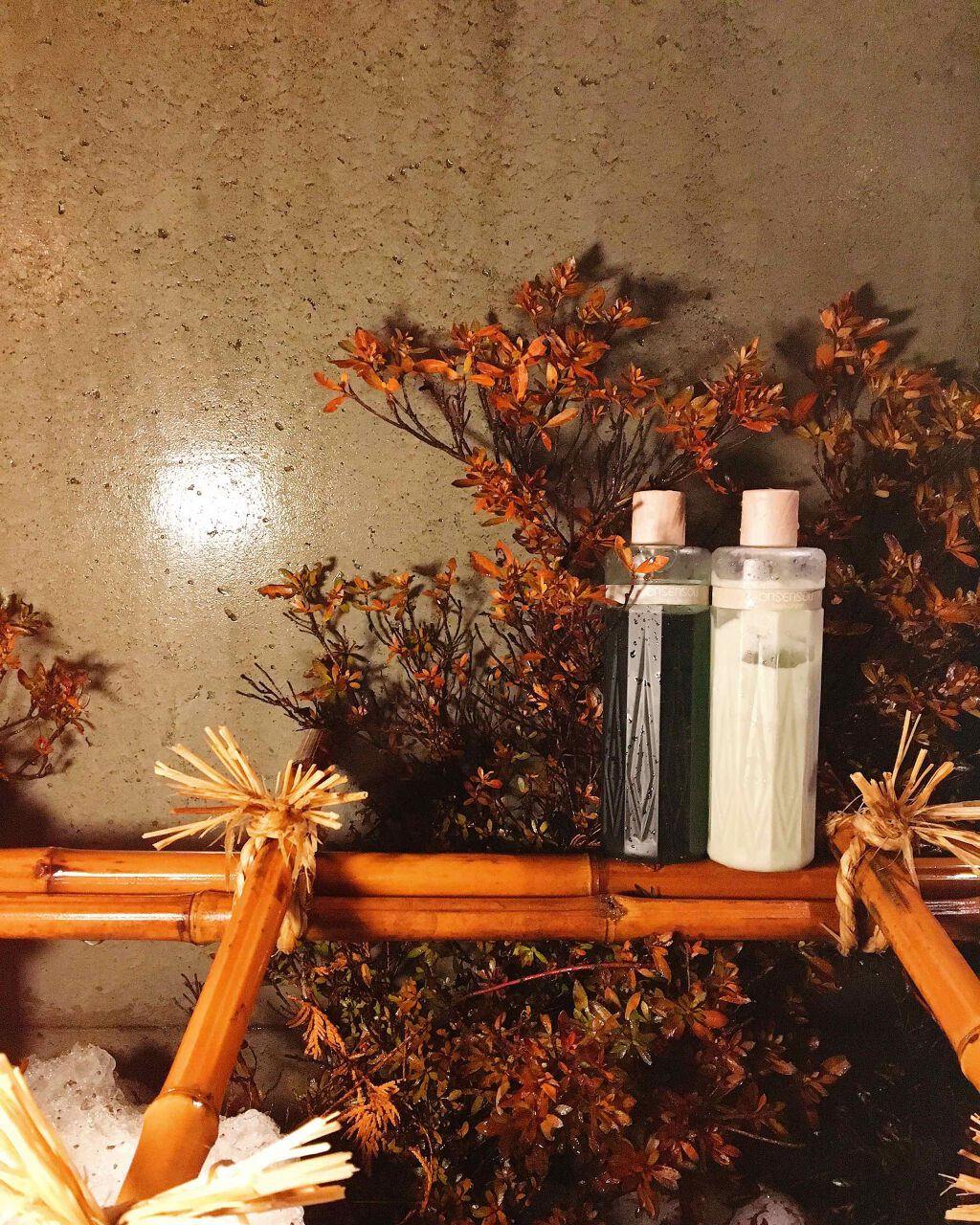 温泉藻配合頭皮ケアシャンプー／トリートメント/ONSENSOU/市販シャンプーを使ったクチコミ（2枚目）