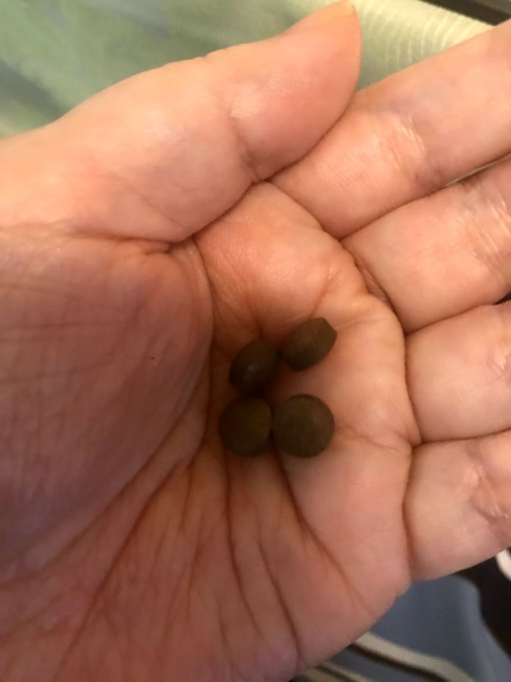 ズキエール/ズキエール/健康サプリメントを使ったクチコミ（2枚目）