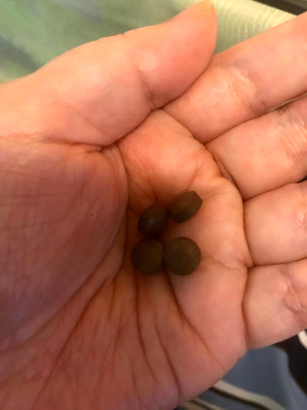 ズキエール/ズキエール/健康サプリメントを使ったクチコミ(2枚目)