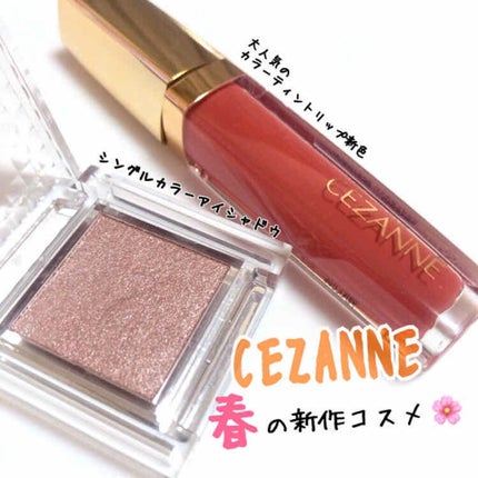 シングルカラーアイシャドウ/CEZANNE/単色アイシャドウを使ったクチコミ(1枚目)