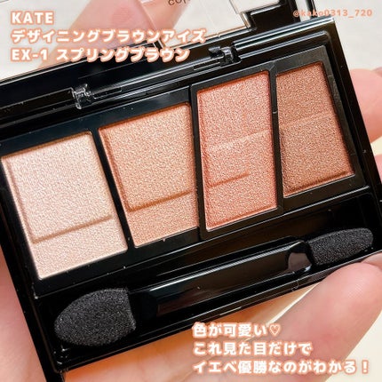 デザイニングブラウンアイズ/KATE/アイシャドウパレットを使ったクチコミ(2枚目)
