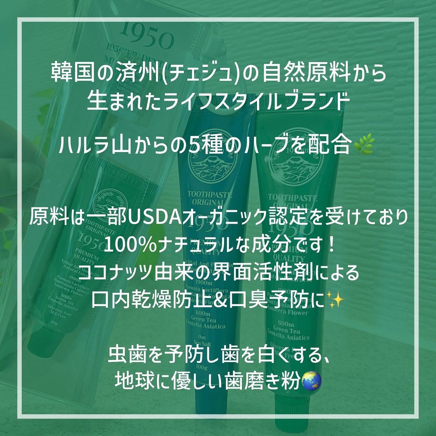 チェジュミネラルソルトブルーオーガニック歯磨き粉/1950/歯磨き粉を使ったクチコミ(2枚目)