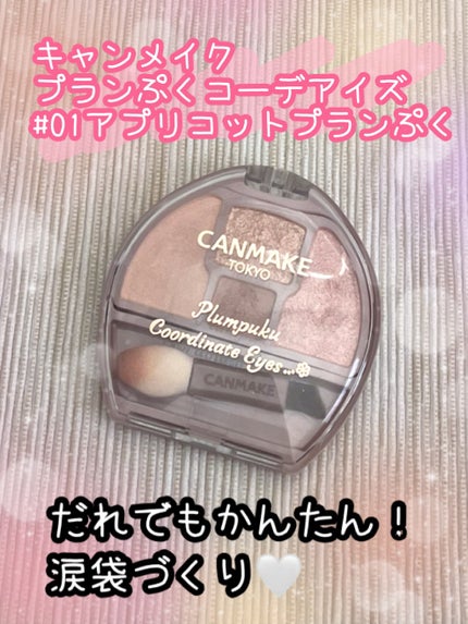 プランぷくコーデアイズ/キャンメイク/パウダーアイシャドウを使ったクチコミ(1枚目)