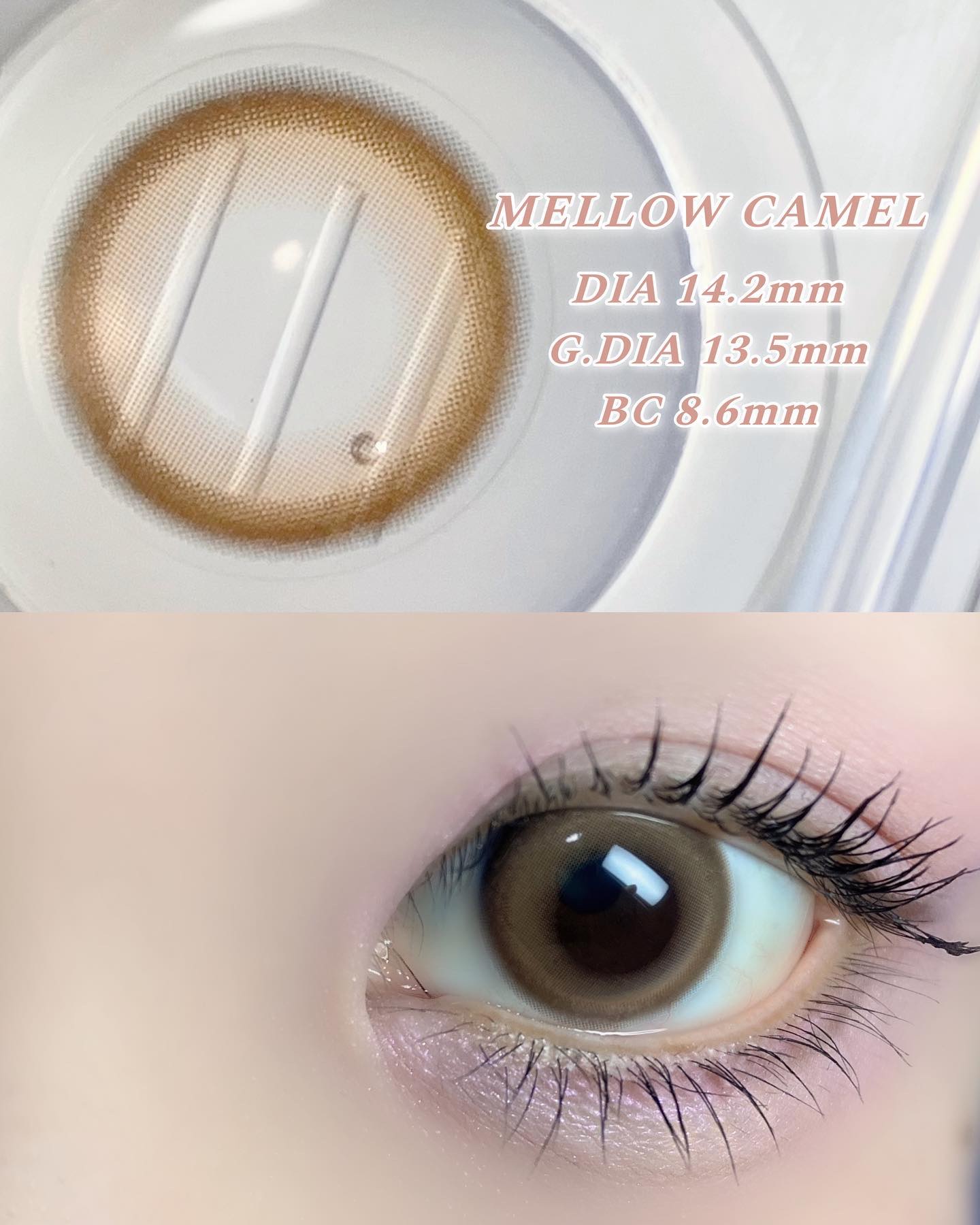 Chu's me monthly メロウキャメル/Chu's me/１ヶ月（１MONTH）カラコンを使ったクチコミ（2枚目）