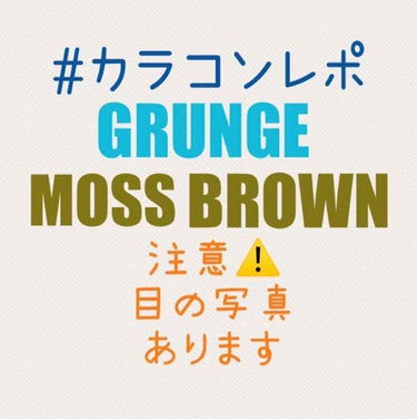 GRUNGE 1month Moss Brown/TeAmo/１ヶ月（１MONTH）カラコンを使ったクチコミ（1枚目）