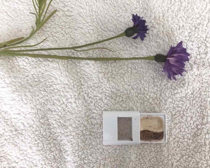 パーフェクトウィンク アイズ(なじみタイプ)/FASIO/アイシャドウパレットを使ったクチコミ(1枚目)