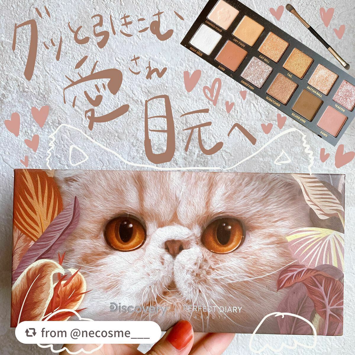 エクスプローラ12色 動物アイシャドウパレット/PERFECT DIARY/アイシャドウパレットを使ったクチコミ(1枚目)