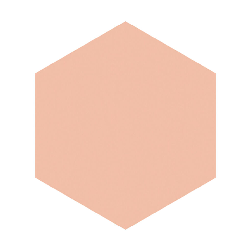 ホワイトリキッドファンデーションN ピンクオークル10