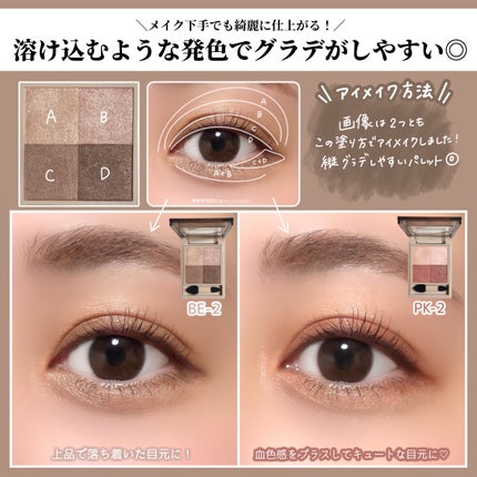 ニュアンス デューイ クリエイター/Visée/アイシャドウパレットを使ったクチコミ(4枚目)