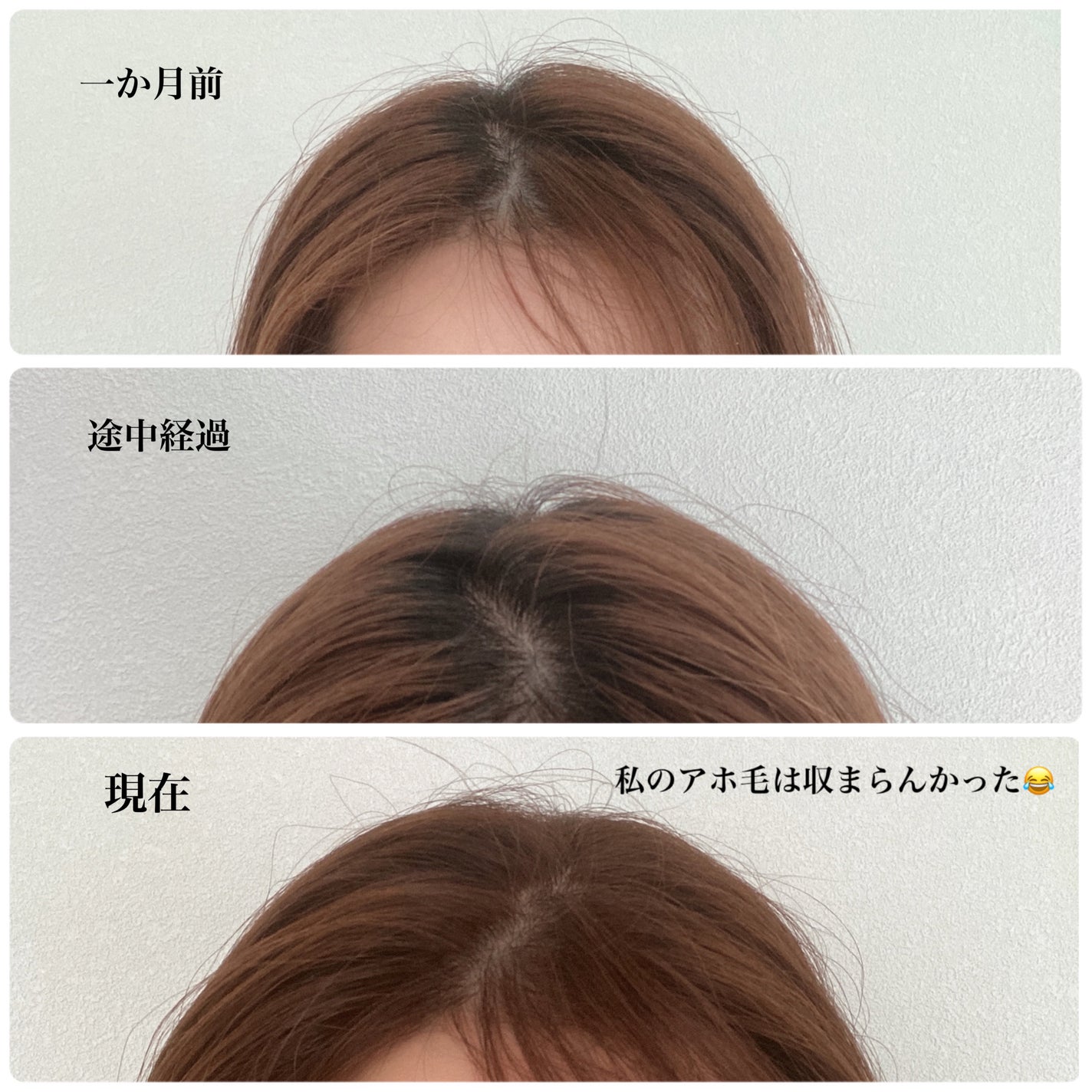 NIJI<ニジ>リズミック シャンプー/トリートメント/NIJI RHYTHMIC/市販シャンプーを使ったクチコミ(4枚目)