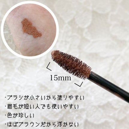 アイブロウフィルター/ドーリーウインク/眉マスカラを使ったクチコミ(2枚目)