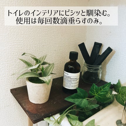 ポスト プー ドロップス/Aesop/その他を使ったクチコミ(2枚目)