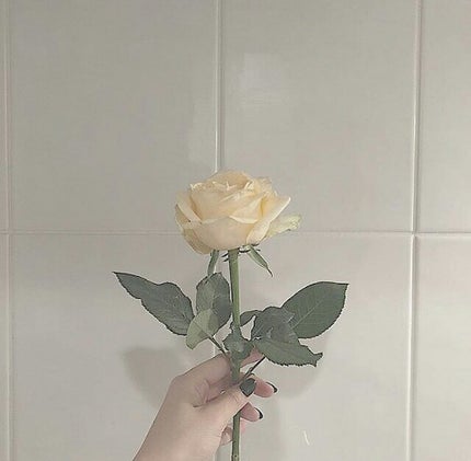 リップスティックS/ANNA SUI/口紅を使ったクチコミ(1枚目)