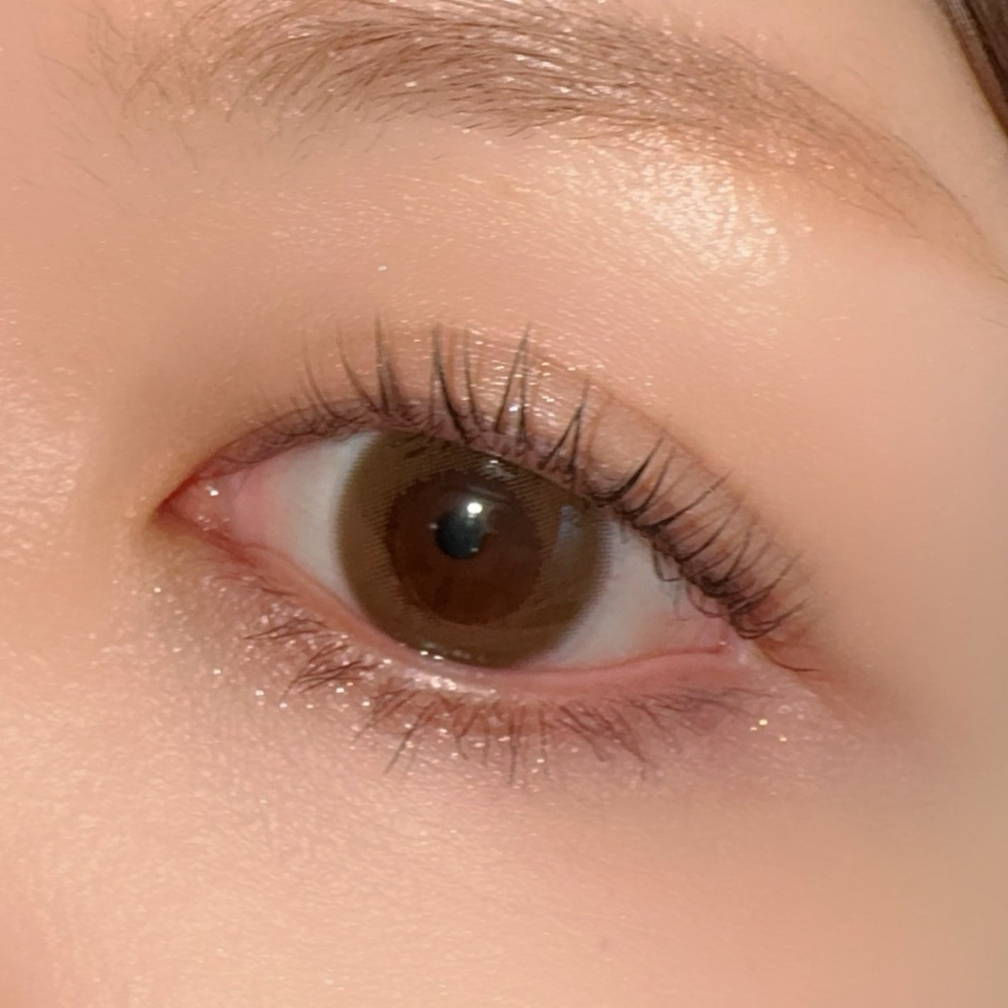 アイカラーレーション スペシャルエディション/LUNASOL/アイシャドウパレットを使ったクチコミ(6枚目)