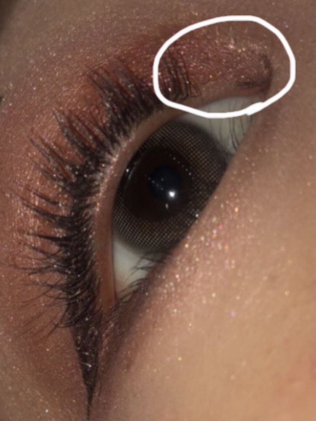 ラッシュジェリードロップ　ＥＸ/MAJOLICA MAJORCA/まつげ美容液を使ったクチコミ（2枚目）