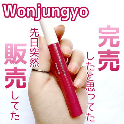 ウォンジョンヨ フォンダンリップ/Wonjungyo/口紅を使ったクチコミ(1枚目)